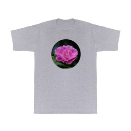 pretty in pink - single wild rose with dark background T Shirt | Prettyrose, Pinkrose, Pinkfloral, Botanical, Summerflower, Digital, Beautifulflower, Photo, Pinkwildrose, Rosephoto 