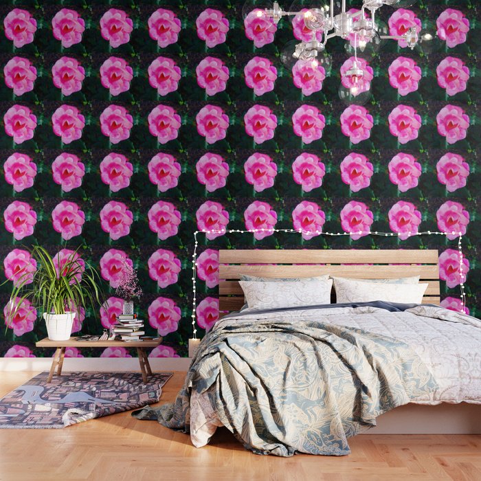 Pink Roses Don T Get Any Love Pink Rose Wallpaper By Anoellejay Society6 You can also upload and share your favorite rosé blackpink wallpapers. society6