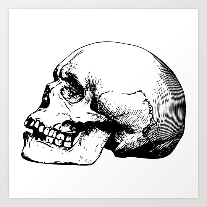 side view of human skull illustration art print by pixxart society6 side view of human skull illustration art print by pixxart