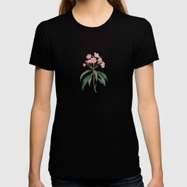Mountain Laurel Watercolour Botanical T Shirt
