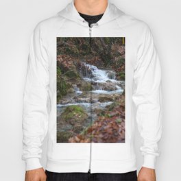 Forest river 2 Hoody