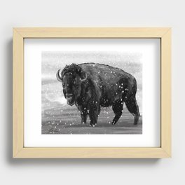 Buffalo Recessed Framed Print