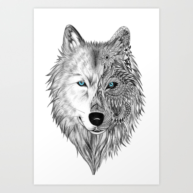 How To Draw A Black And White Wolf / The White Wolf White ...