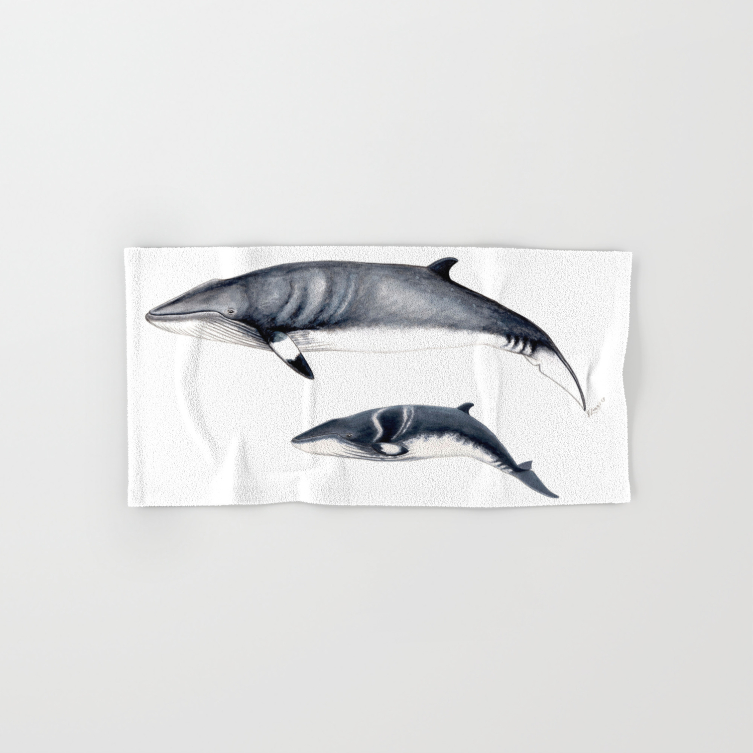 whale baby towel