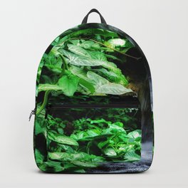 Dreamy Falls Backpack