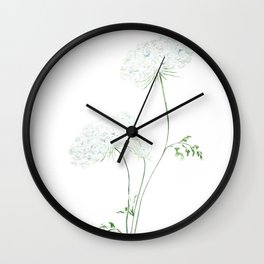Queen Ann's Lace watercolor painting Wall Clock