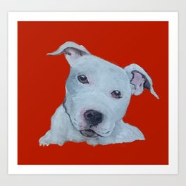 society6