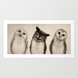 The Owl's 3 Kunstdrucke | Owls, Curated, Illustration, Nature, Animal, Drawing, Ink Pen, Graphite, Owl 