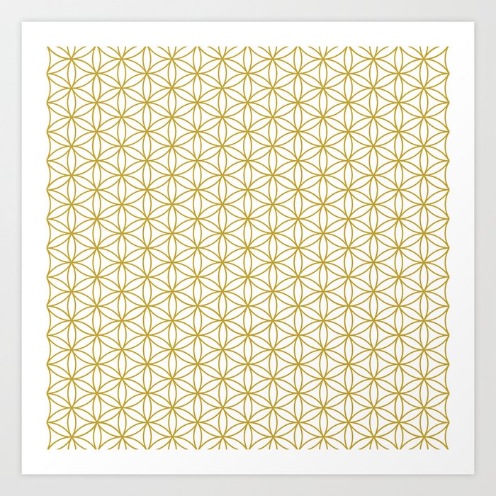 society6