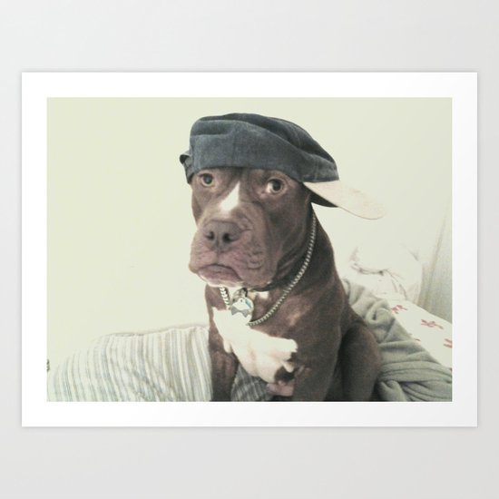 society6