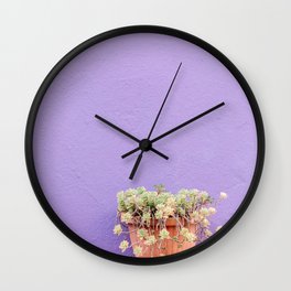 Succulent on purple wall - Colorful wall of Burano - Burano travel Art Print Wall Clock