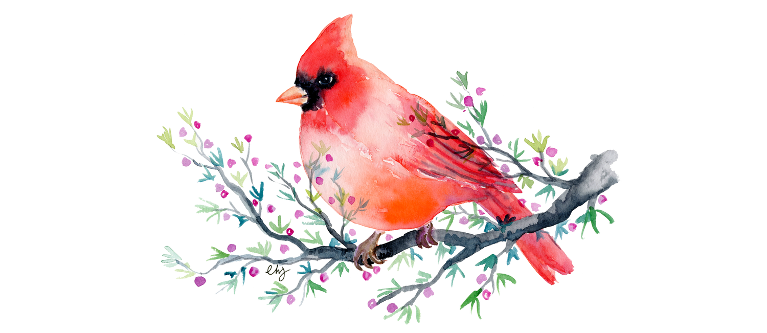 Watercolor Red Cardinal On Berry Branch Coffee Mug By Chengjing Society6 Cardinal bird sitting on branch. watercolor red cardinal on berry branch coffee mug by chengjing