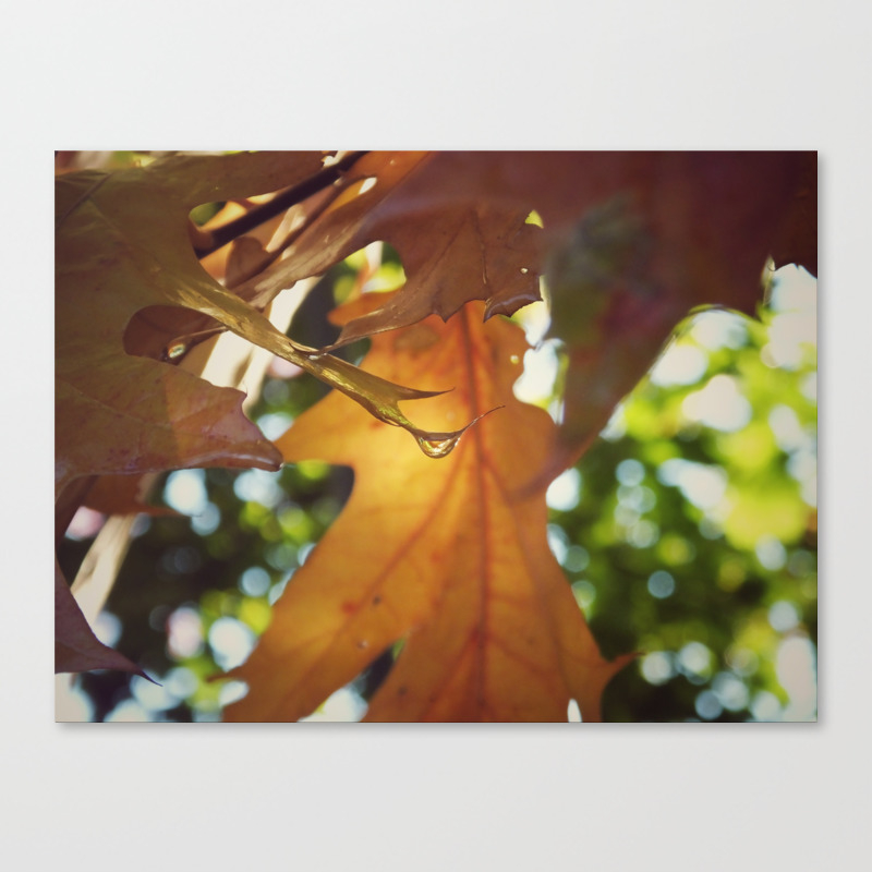 Droplet Canvas Print by Kmstahlros (CNV8108735) photo