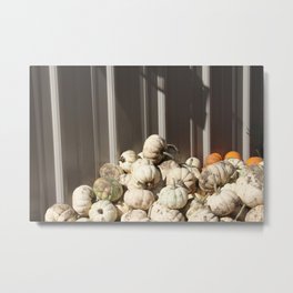 Ghost Pumpkins Metal Print | Photo, Monochromatic, Pumpkinfarm, Whitepumpkins, Metalbarn, Digital, Pumpkins 