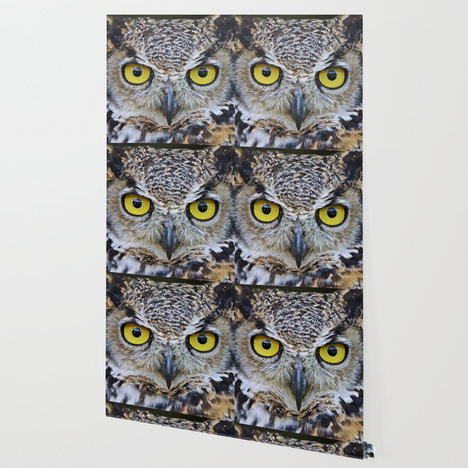 I M Watching You Wallpaper By Owlgoddessphotography Society6