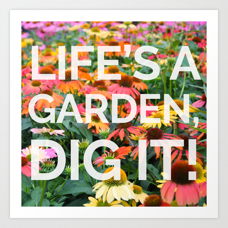 society6