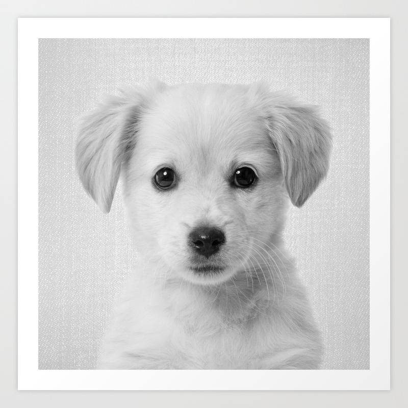 Golden Retriever Puppy Black White Art Print By Galdesign Society6