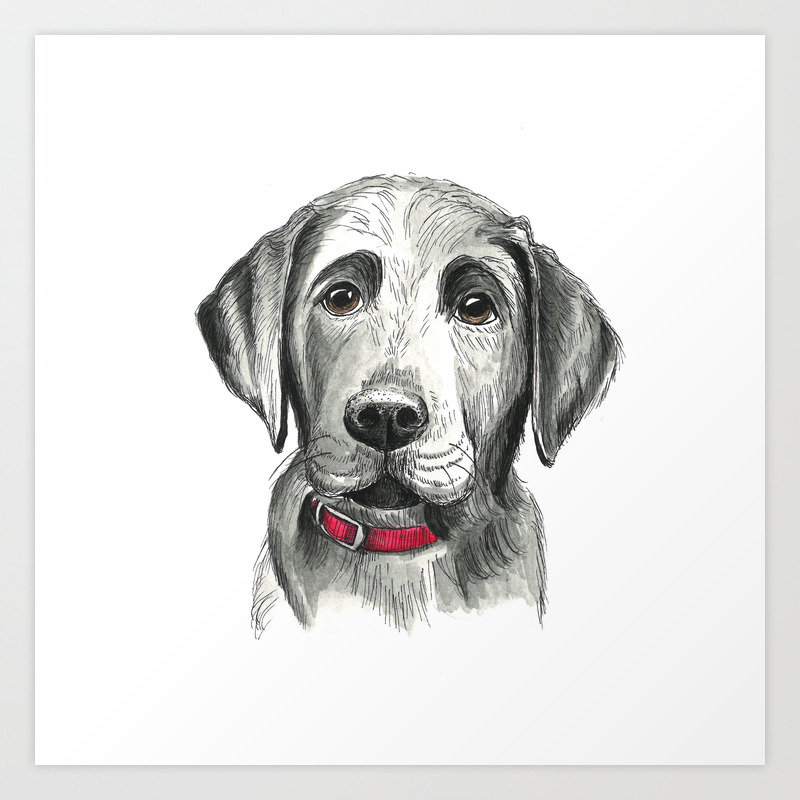 Black Lab Puppy Drawing Art Print By Sarahfusco Society6