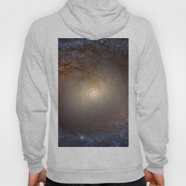 Galaxy IC 2051 in Southern constellation of Mensa - Table Mountain Photograph Hoody