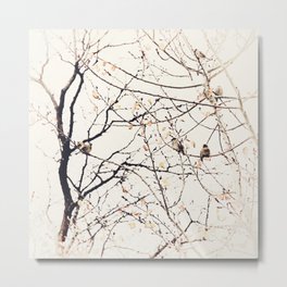 House Sparrows in Tree Branches Stylized Minimalist Nature Metal Print