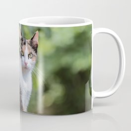 Are you meowing to me? Coffee Mug