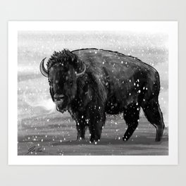 Buffalo Art Print