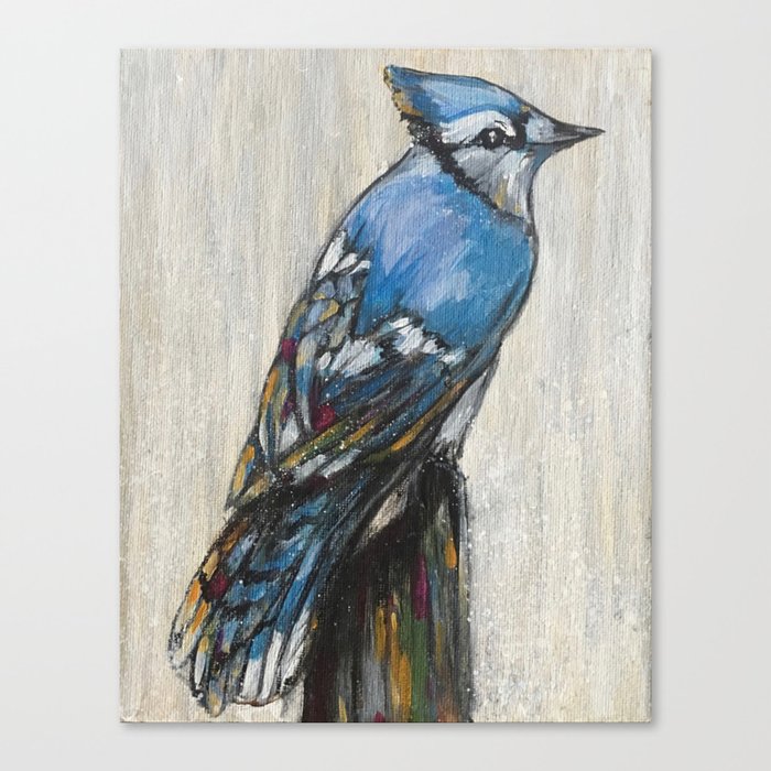 Blue Jay Bird Wing Feather Animal Nature Outdoors Birdwatching