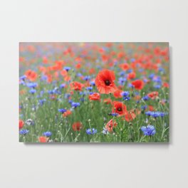 Poppies Metal Print | Mohnblume, Blume, Poster, Digital Manipulation, Landscape, Flower, Natur, Color, Mohnblumen, Photo 