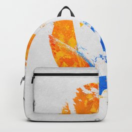 Aperture Vandal Backpack