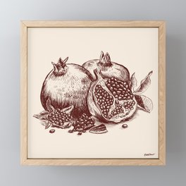 Pomegranate  Framed Mini Art Print