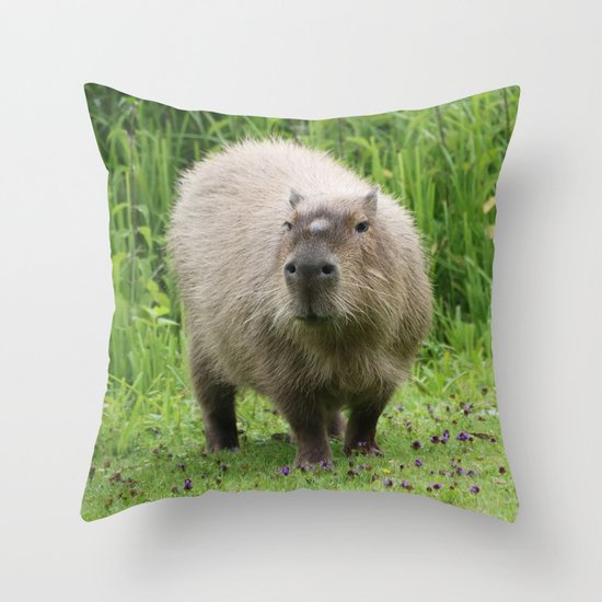 encanto capybara pillow pet