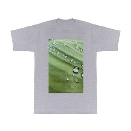 Raindrops Around A Persian Palm T Shirt | Palm, Drop, Persian, Reflection, Water, Digital, Nature, Color, Botanical, Photo 