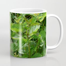Stinging Nettle Urtica Coffee Mug