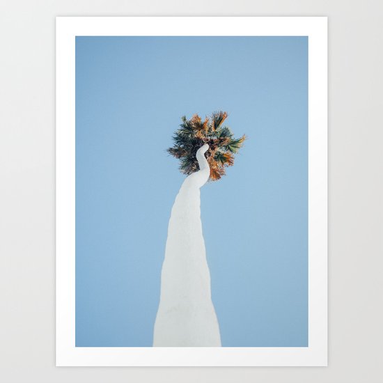 Painted White Palm Tree In Los Angeles Art Print By