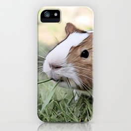 Guinea Pig Iphone Cases To Match Your Personal Style Society6
