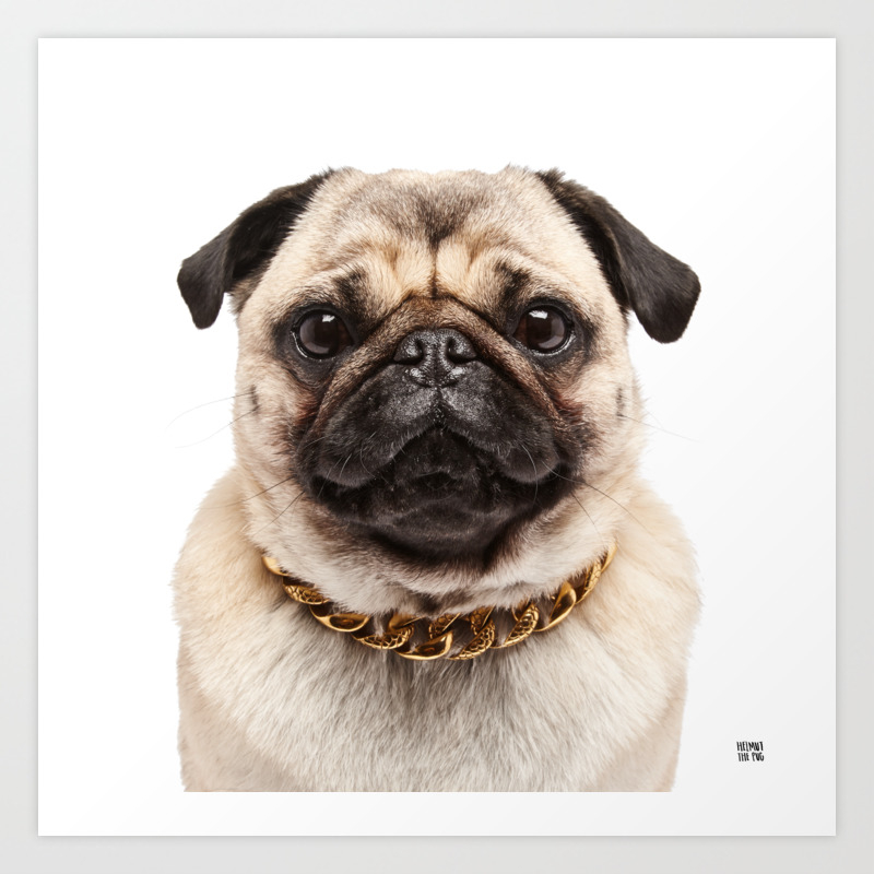 Helmut the Pug - Gold Chain Art Print