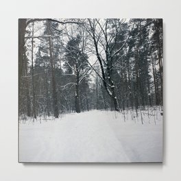 endorphins / winter Metal Print