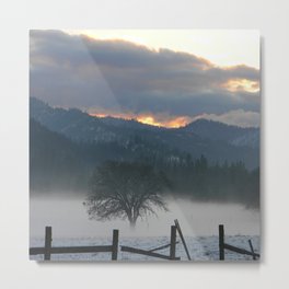 Misting Fog in the evening... Metal Print