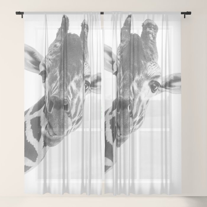 wild animal nursery decor