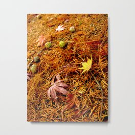 Colorful Japanese Maple Leaves and Acorns on the Ground In Fall Photography Metal Print