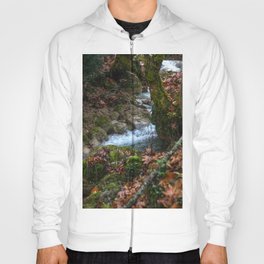 Forest river Hoody