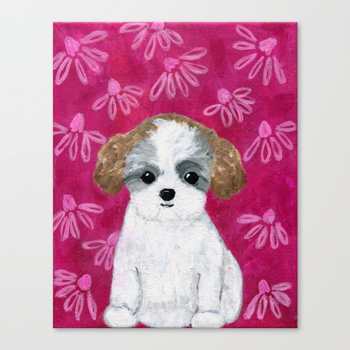 bichon teddy