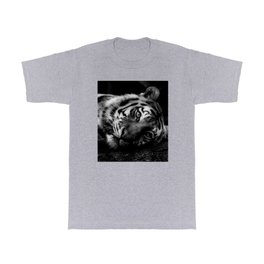 Eye of the tiger black and white portrait photograph / photography / photographs wall decor T Shirt | Photo, Tiger, Eyeofthetiger, Bigcats, Nature, Portrait, Animal, Black And White, Africa, Photograph 