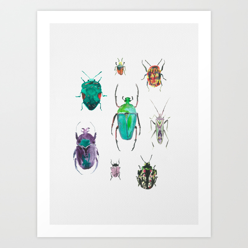 Set of framed beetle watercolor prints