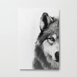 Wolf Metal Print | Wilderness, Wild, Black And White, Hdr, Animal, Painting, Drawing, Digital, Wolf, Animalistic 