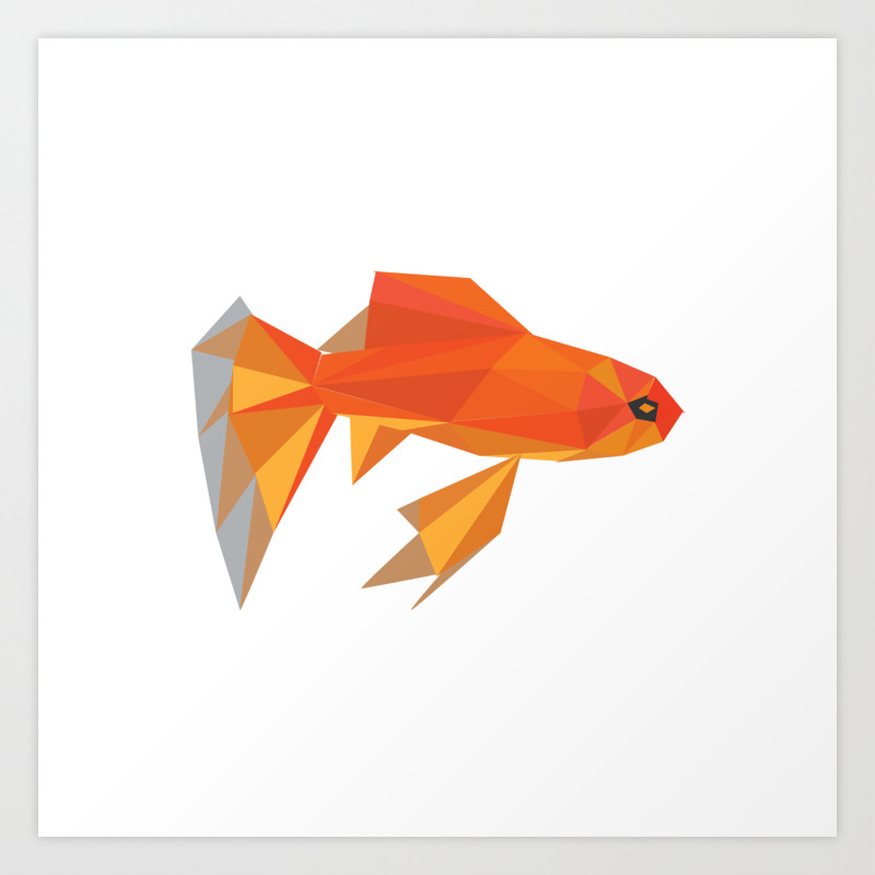 society6