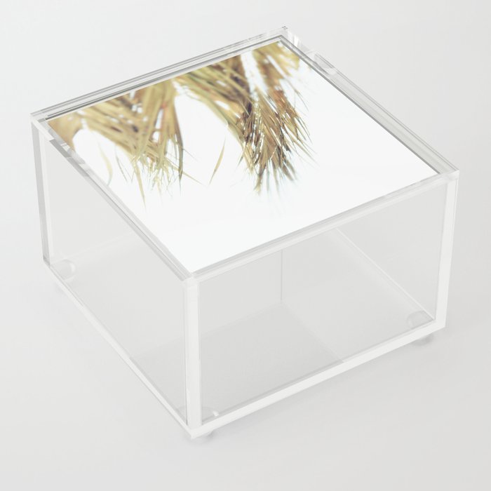 Beach details Palm shades Acrylic Box
